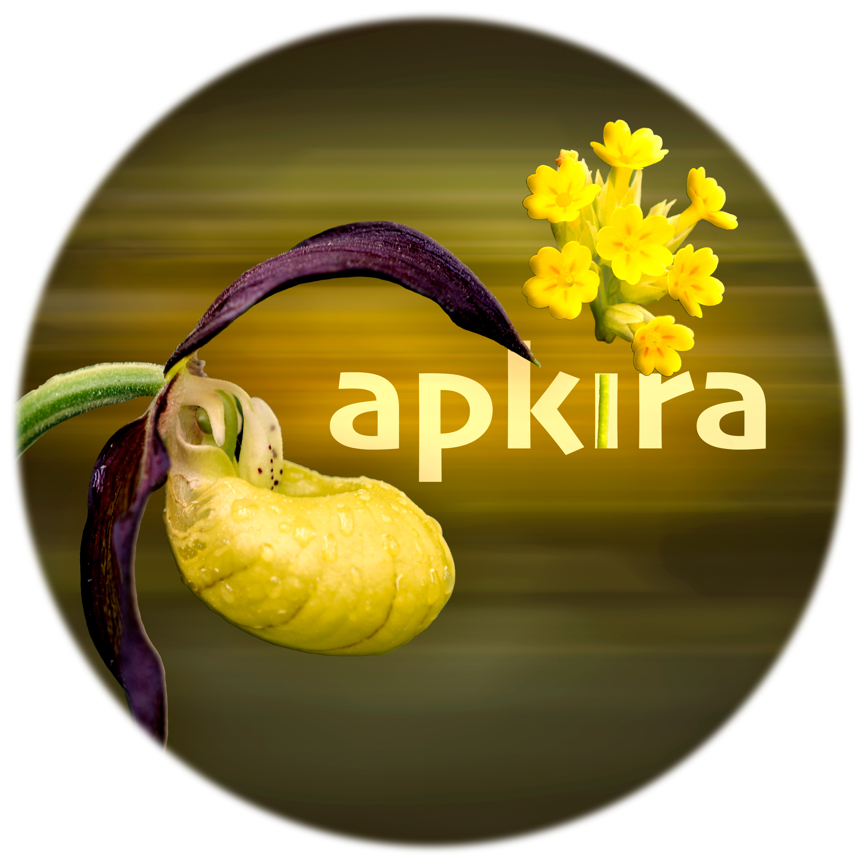 CAPKIRA